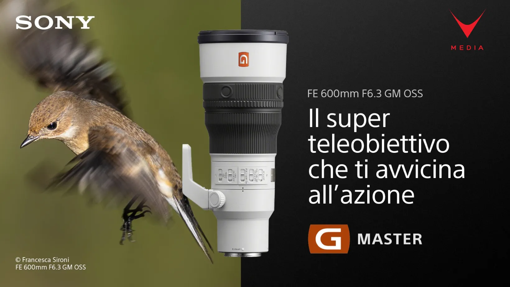 Obiettivo Sony 600mm F6.3 GM montato su fotocamera Alpha durante scatto wildlife a mano libera
