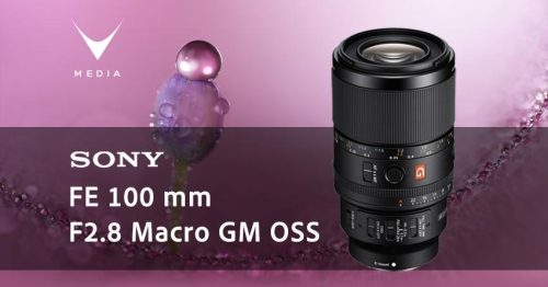 0-Header-Media copia 4