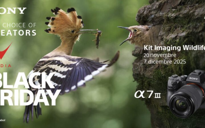 BlackFriday_COI_1200x630_2-e1763634712659