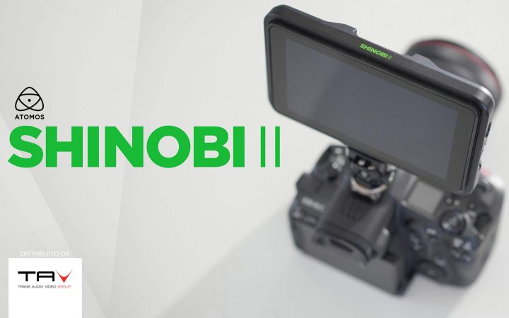 FOLDER_SHINOBI_II_YB