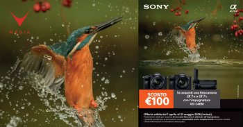 GRIP_SONY
