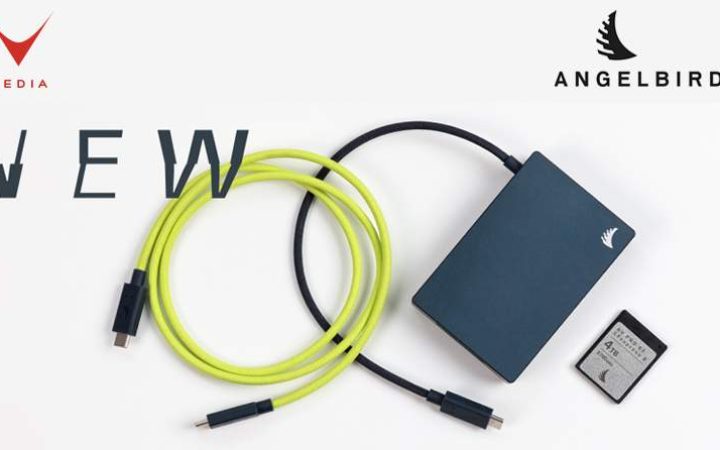 Header-Media-ANGLEBIRD