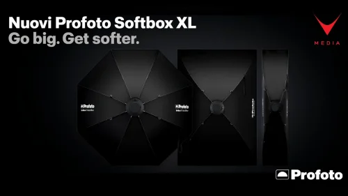 Profoto Softbox XL grande formato per studio fotografico professionale, modelli Octa 5', 4x6' e Strip 1x6'