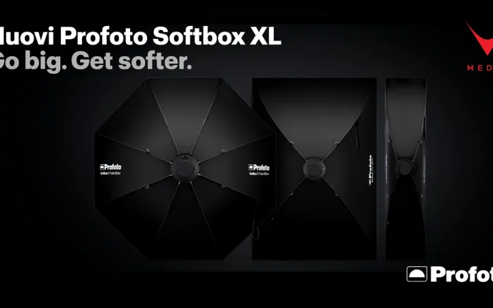 Profoto Softbox XL grande formato per studio fotografico professionale, modelli Octa 5', 4x6' e Strip 1x6'