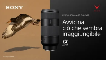 Sony FE 100-400mm F5.6-8 OSS montato su fotocamera mirrorless durante scatto naturalistico