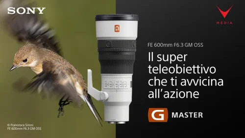 Obiettivo Sony 600mm F6.3 GM montato su fotocamera Alpha durante scatto wildlife a mano libera