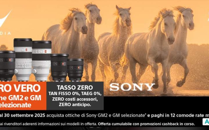 tasso zero